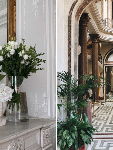 parisian style home decor plants and flowers