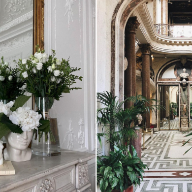 parisian style home decor plants and flowers