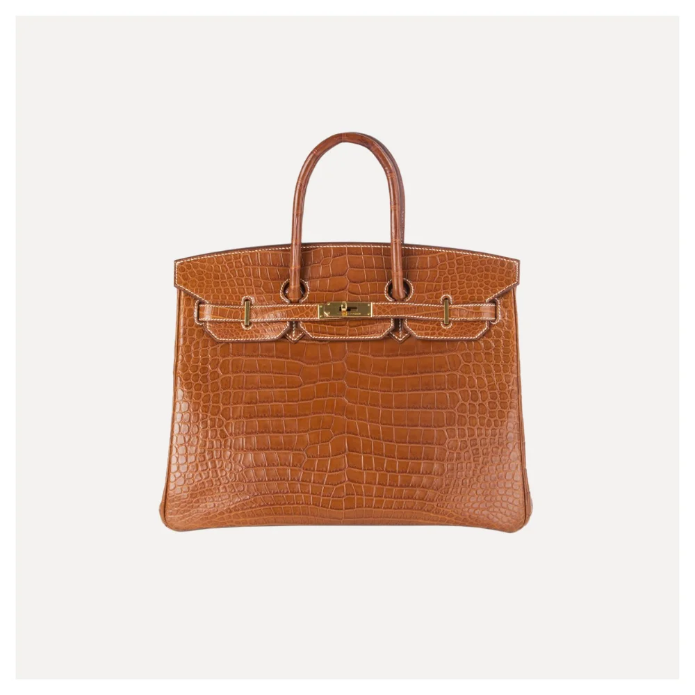 Best Alternatives To The Hermes Kelly Bag: YSL, Louis Vuitton, DeMellier,  and More 
