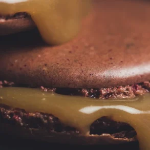 pierre herme french chocolate macarons recipe