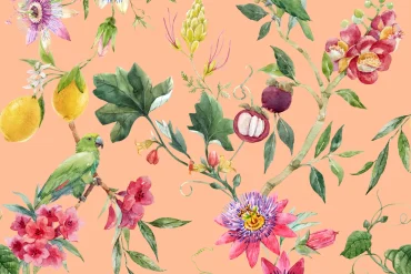 french summer perfumes