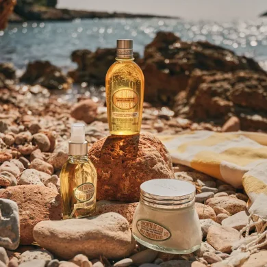 best l'occitane products