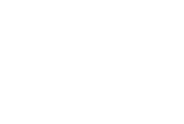 les collections particulieres logo