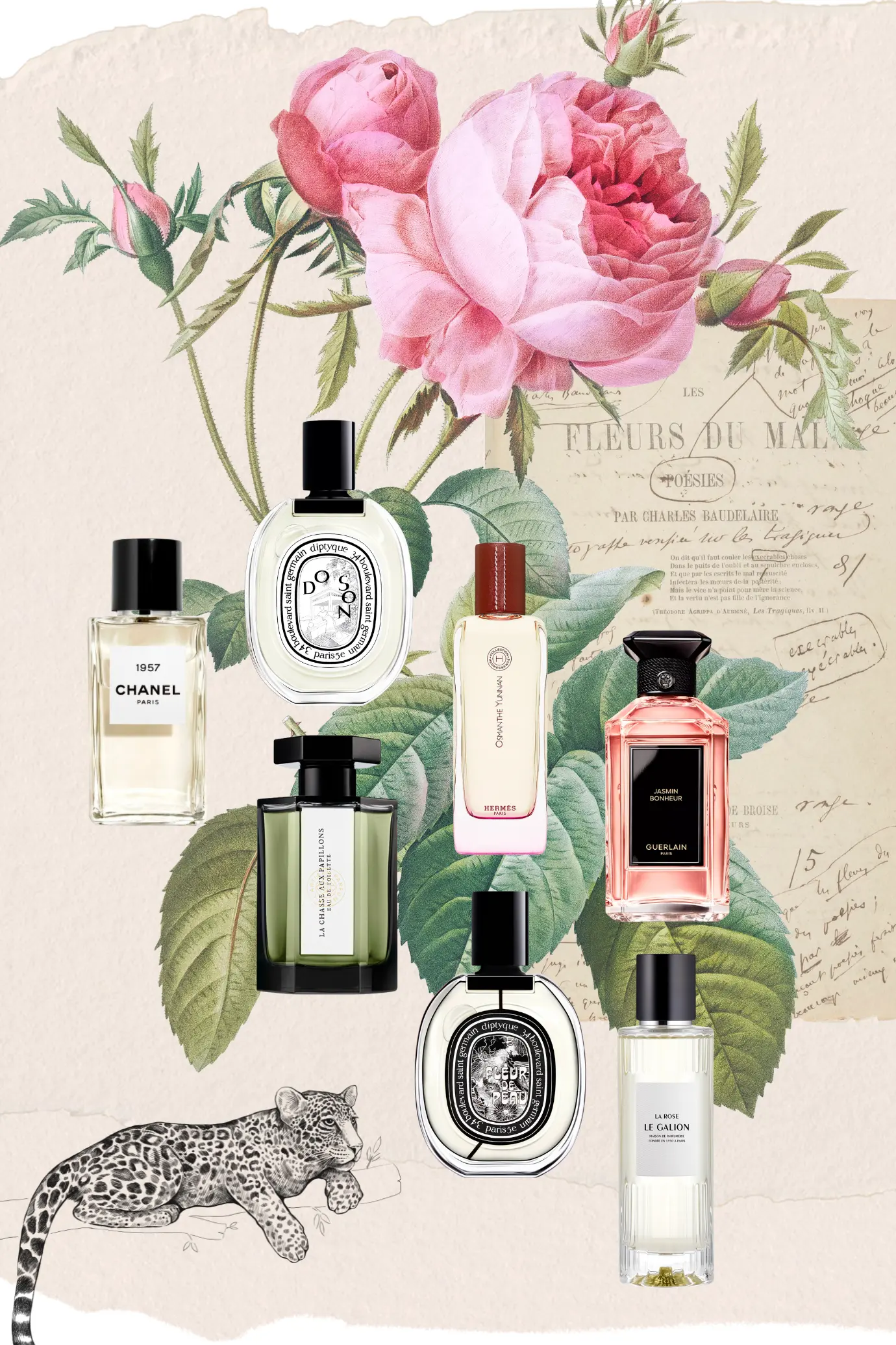 a collage of 7 romantic french perfumes